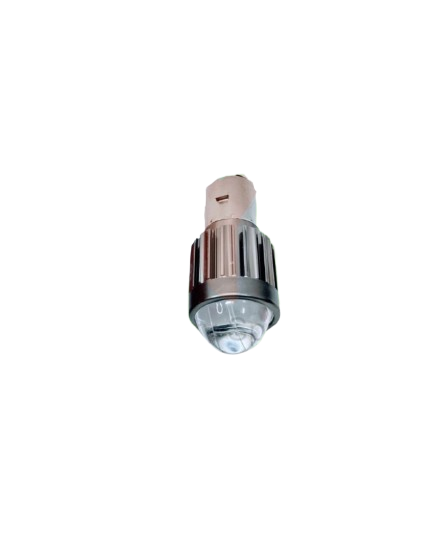 Bulb