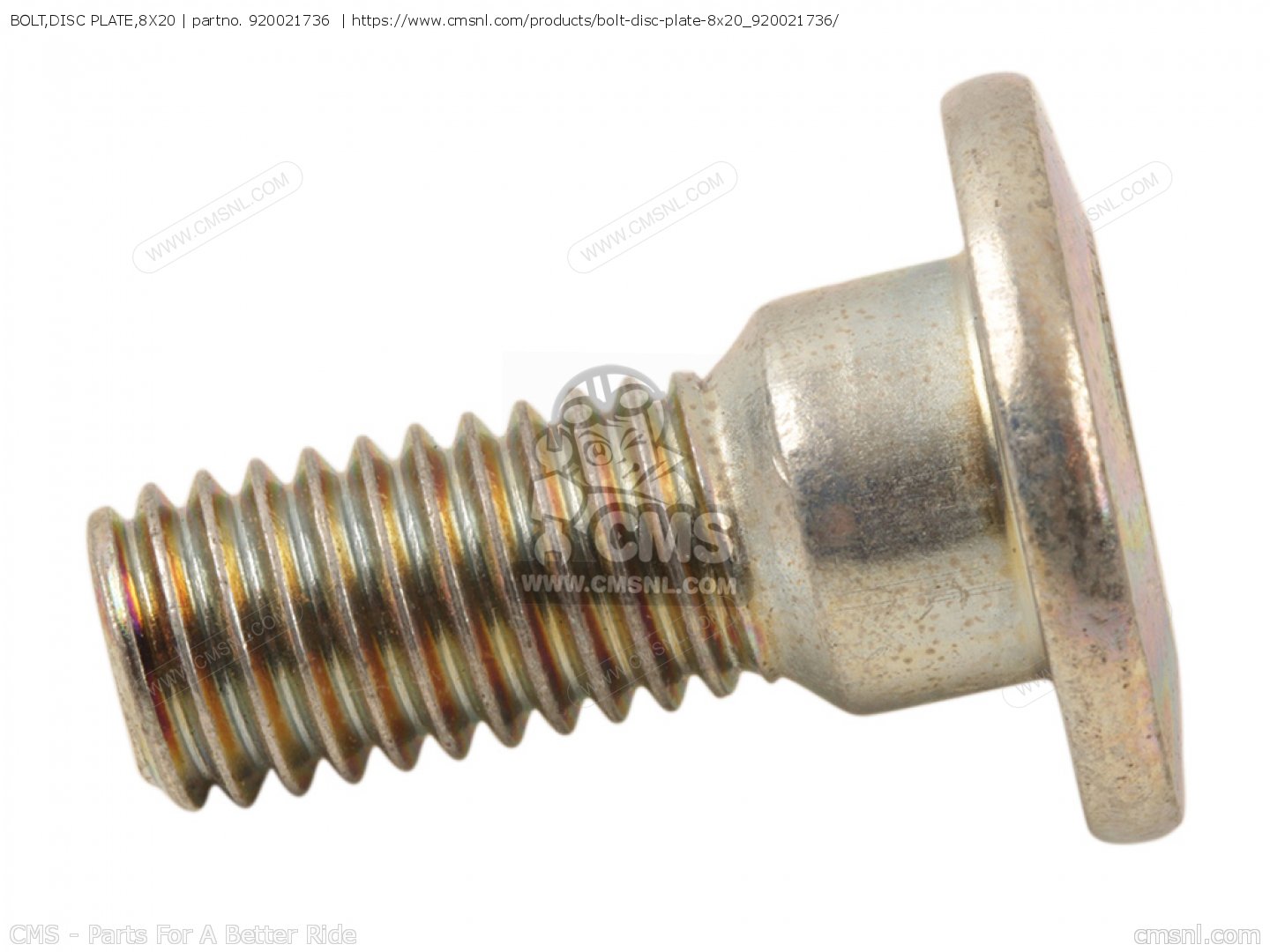 Disc Plate Bolt
