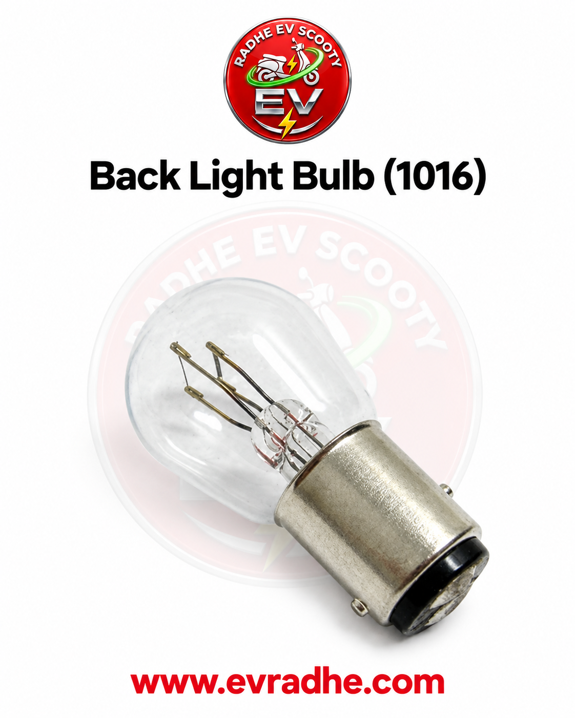 Back Light Bulb (1016)